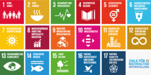 Grafik 17 Ziele für nachhaltige Entwicklung